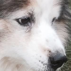 Meet your Posher, Leslie